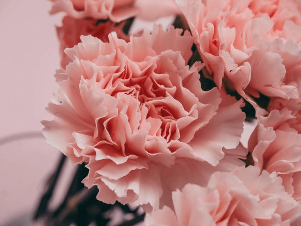 Singers Valentine's Day Flowergram